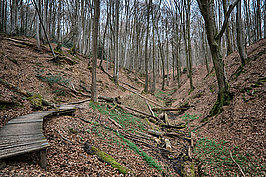 Bernhard Saalfeld - Tretschbachtal (1v9)